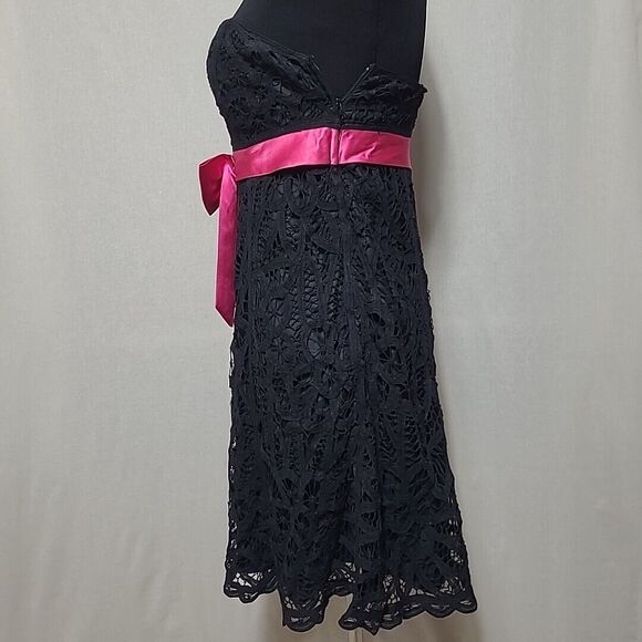 Betsey Johnson Dress Sz 4 Black Pink Fit & Flare Strapless Embroidered Lace - Picture 2 of 10